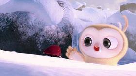 小花妞吃三角瓜的视频,萌态十足引网友热议