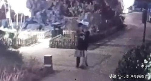 魏县双井吃瓜事件视频曝光,视频曝光引发社会关注